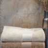 Olima OL450