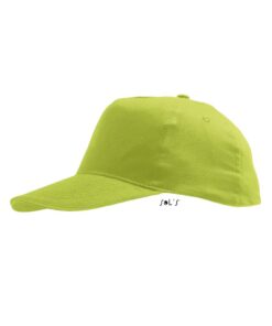 Alternative view of SOL'S SO88111